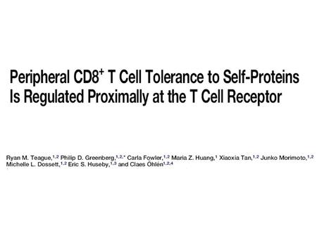 1.Activation of tolerant TCR transgenic CD8+ T cells.