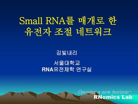Small RNA를 매개로 한 유전자 조절 네트워크