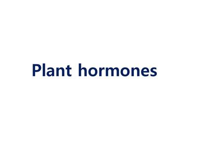 Plant hormones.