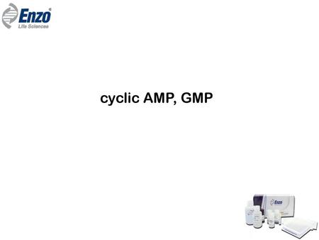 Cyclic AMP, GMP.