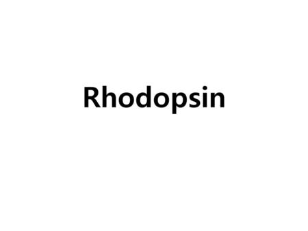 Rhodopsin.
