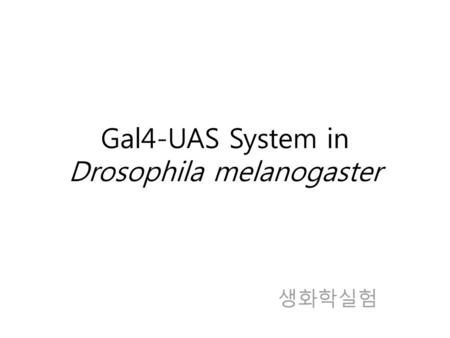 Gal4-UAS System in Drosophila melanogaster