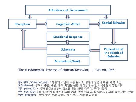 The fundamental Process of Human Behavior, J. Gibson,1966