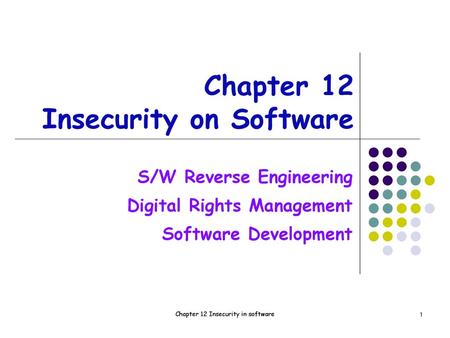 Chapter 12 Insecurity on Software