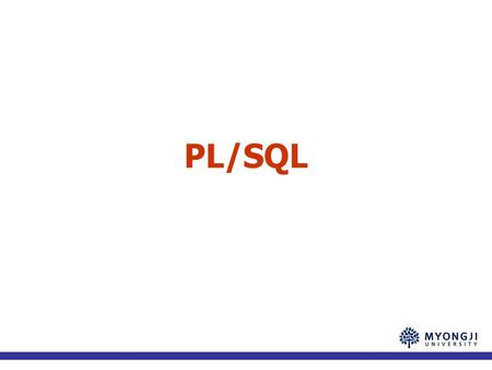 PL/SQL.