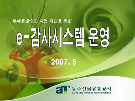부패유발요인 사전 차단을 위한 e-감사시스템 운영 2007. 5.