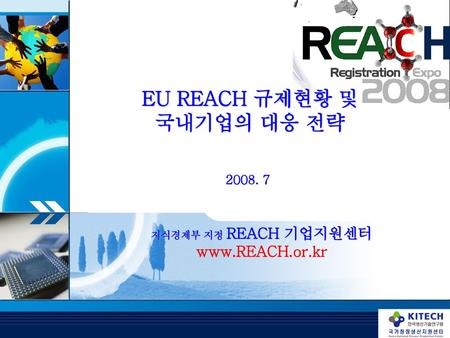 EU REACH 규제현황 및 국내기업의 대응 전략