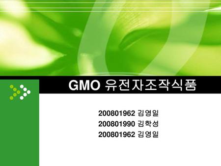 GMO 유전자조작식품 200801962 김영일 200801990 김학성.