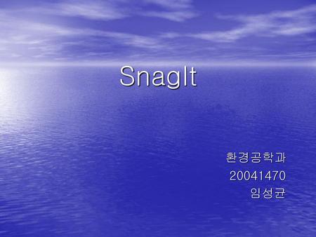 SnagIt 환경공학과 20041470 임성균.