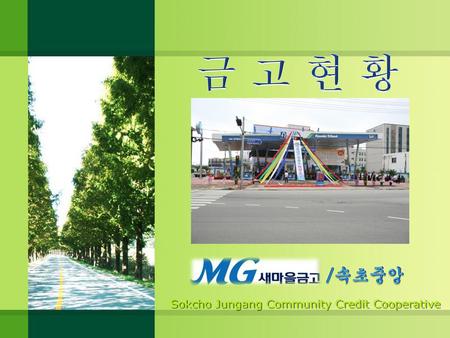 금 고 현 황 Sokcho Jungang Community Credit Cooperative /속초중앙.