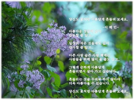 당신도 꽃처럼 이름답게 흔들려 보세요. -이 해 인- 아름다운 것들에 깊이 감동할 줄 알고.. 일상의 작은 것들에도 깊이