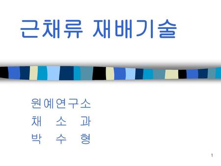 근채류 재배기술 원예연구소 채 소 과 박 수 형.