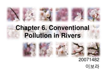 Chapter 6. Conventional Pollution in Rivers