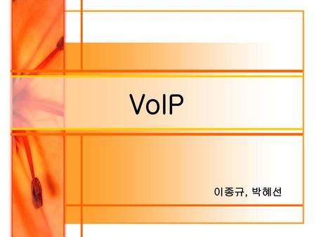 VoIP 이종규, 박혜선.