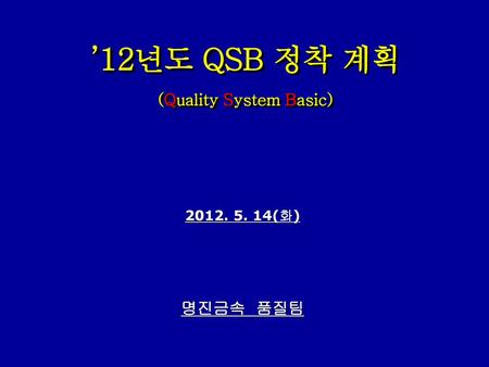 ’12년도 QSB 정착 계획 (Quality System Basic)