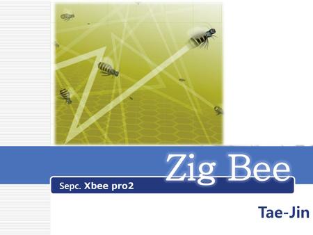 Zig Bee Sepc. Xbee pro2 Tae-Jin.