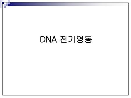 DNA 전기영동.