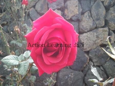 Action Learning 소개.