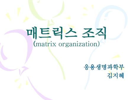 매트릭스 조직 (matrix organization)