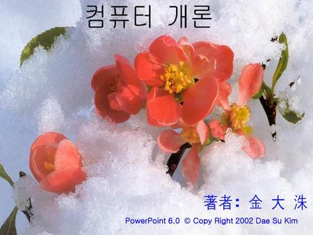 PowerPoint 6.0 Copy Right 2002 Dae Su Kim.