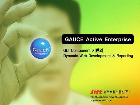 Contents GAUCE 개념 및 API 1-1 GAUCE 소개 1-2 GAUCE API 1-3 GAUCE Component