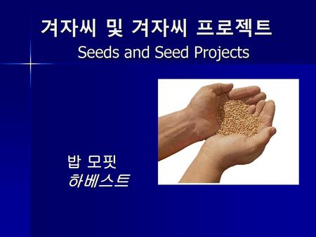 겨자씨 및 겨자씨 프로젝트 Seeds and Seed Projects