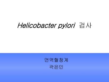 Helicobacter pylori 검사