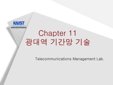Telecommunications Management Lab.