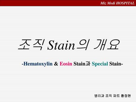 -Hematoxylin & Eosin Stain과 Special Stain-