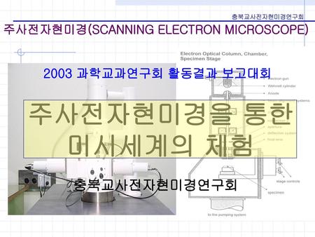 주사전자현미경(SCANNING ELECTRON MICROSCOPE)