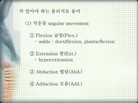 꼭 알아야 하는 물리치료 용어 (1) 각운동 angular movement ① Flexion 굽힘(Flex.)
