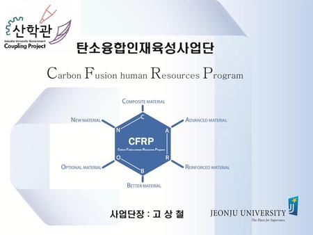 Carbon Fusion human Resources Program
