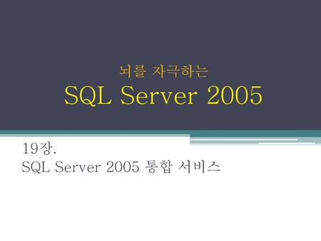 뇌를 자극하는 SQL Server 2005 19장. SQL Server 2005 통합 서비스.