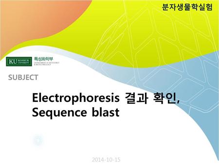분자생물학실험 SUBJECT Electrophoresis 결과 확인, Sequence blast 2014-10-15.