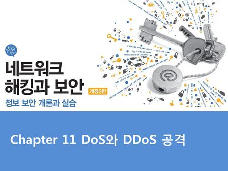 Chapter 11 DoS와 DDoS 공격.