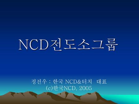 NCD전도소그룹 정진우 : 한국 NCD&터치 대표 (c)한국NCD, 2005.