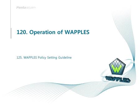 125. WAPPLES Policy Setting Guideline