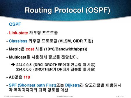 Routing Protocol (OSPF)
