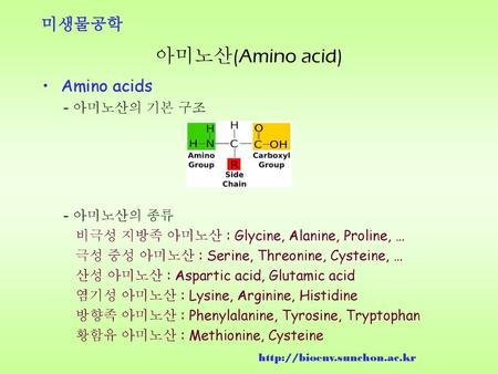 아미노산(Amino acid) Amino acids - 아미노산의 기본 구조 - 아미노산의 종류