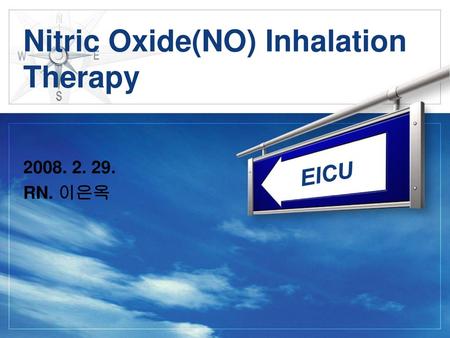 Nitric Oxide(NO) Inhalation Therapy