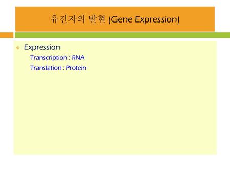 유전자의 발현 (Gene Expression)