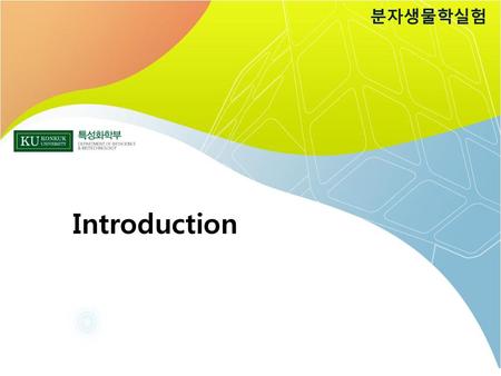 분자생물학실험 Introduction.