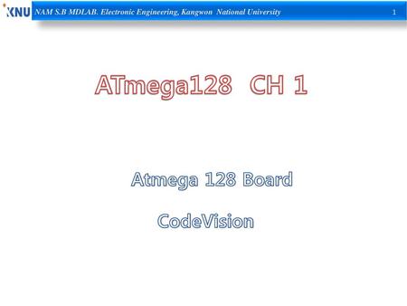 ATmega128 CH 1 Atmega 128 Board CodeVision.