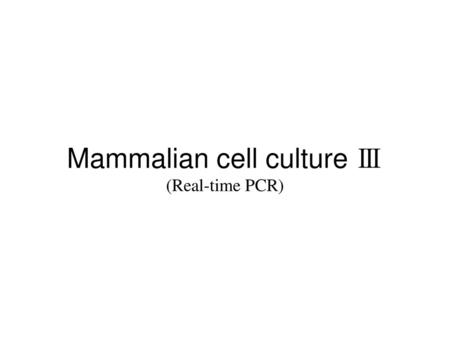 Mammalian cell culture Ⅲ (Real-time PCR)
