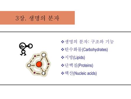 3장. 생명의 분자 생명의 분자: 구조와 기능 탄수화물(Carbohydrates) 지방(Lipids) 단백질(Proteins)