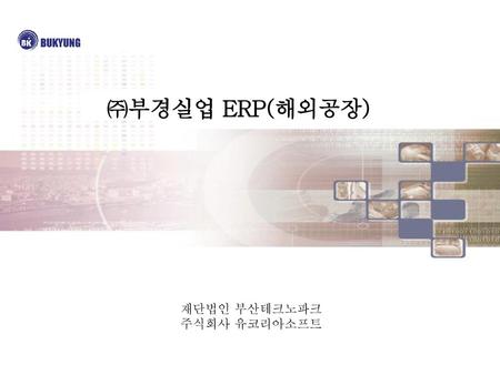 ㈜부경실업 ERP(해외공장) 재단법인 부산테크노파크 주식회사 유코리아소프트.