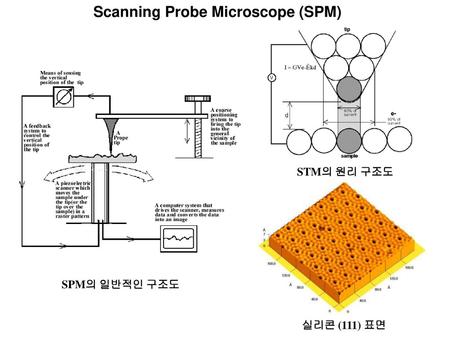 Scanning Probe Microscope (SPM)