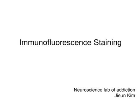 Immunofluorescence Staining