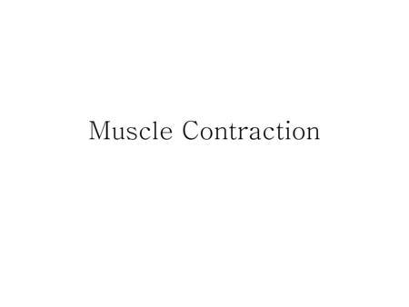 Muscle Contraction.