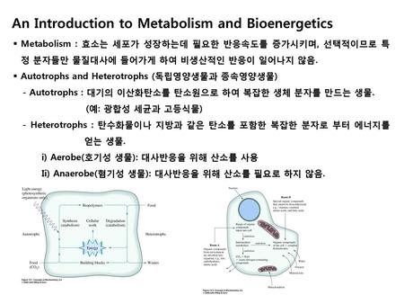 An Introduction to Metabolism and Bioenergetics